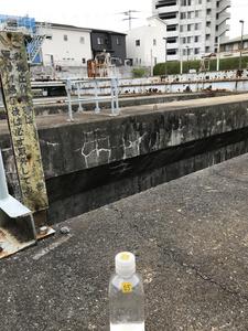 Seemingly clean water collected at the storm drain discharge pumping station