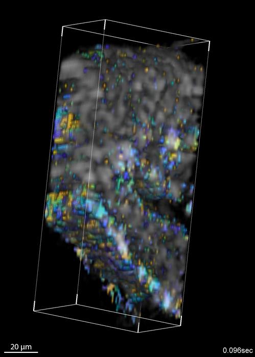 Volumetric mapping