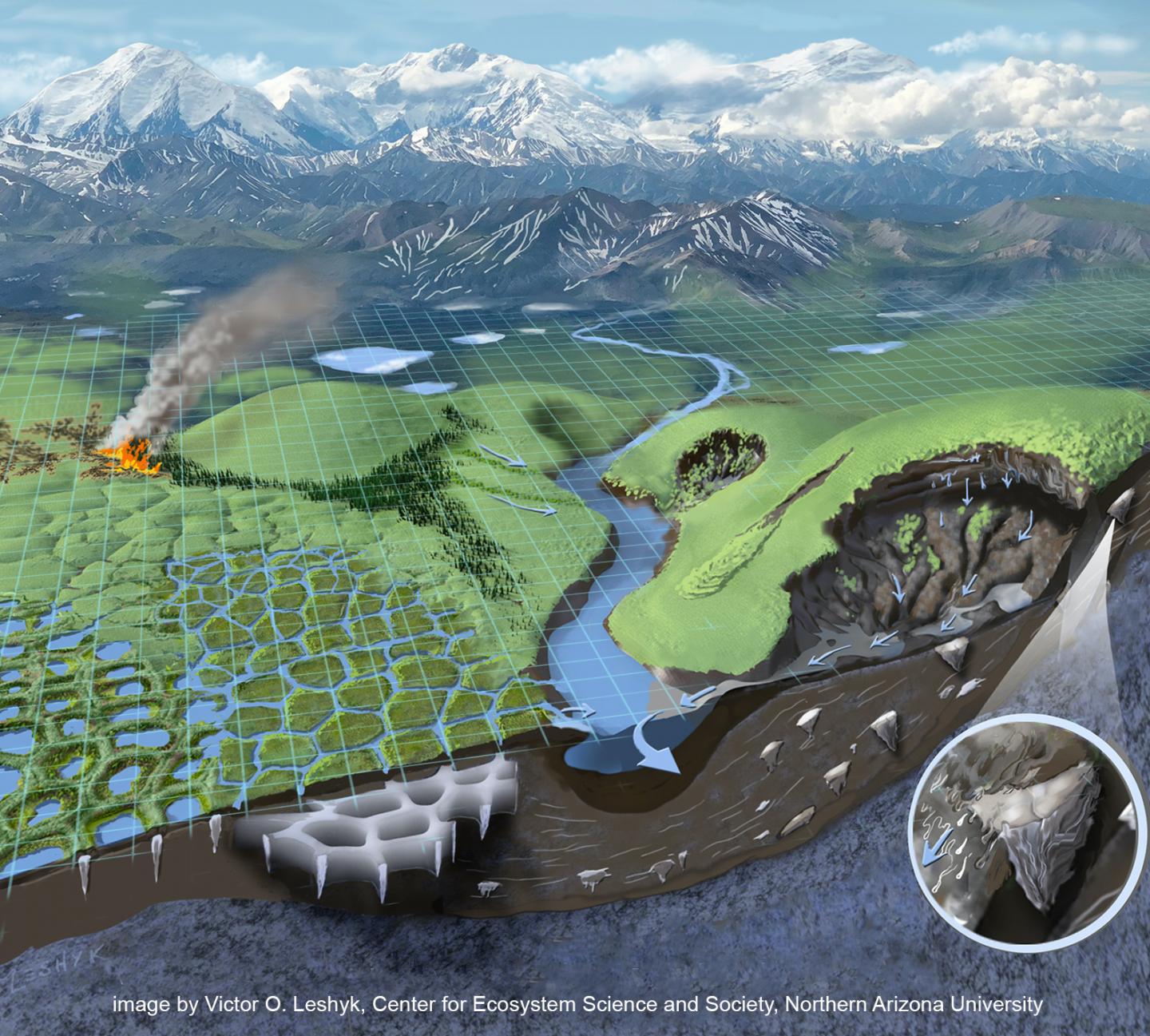 An explorable cross-section of Arctic permafrost