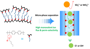 A quaternized poly (alkyl-biphenyl pyridinium) based AEM with side cationic head groups