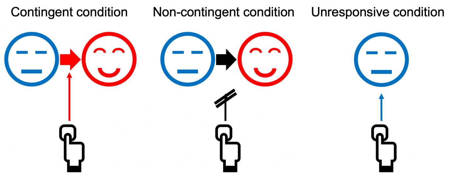 Schematic of the Contingency Conditions (Figure 1)