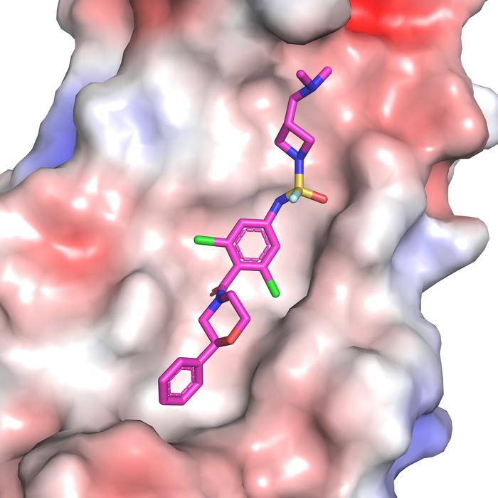 Drug-like inhibitor shows promise in preventing flu