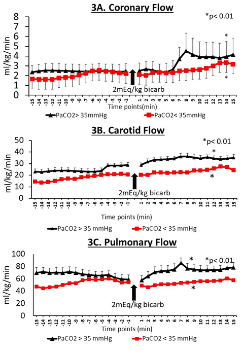 3A. Coronary Flow