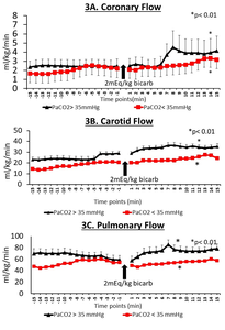 3A. Coronary Flow