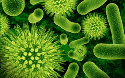 Researchers Examined about 35,000 Chemical Reactions to Determine the Social Roles of Bacteria