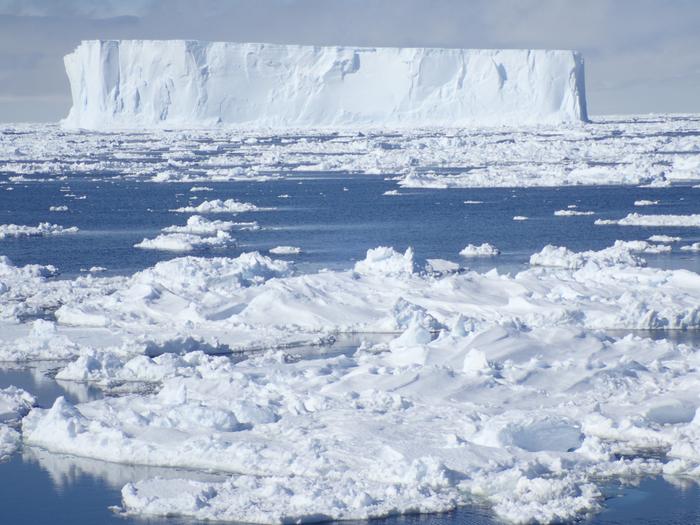 Shibata-Curtain-Iceberg