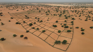 Land restoration alleviates drought, hunger and poverty