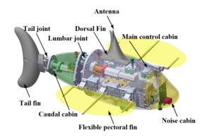 3D model of the RobDact