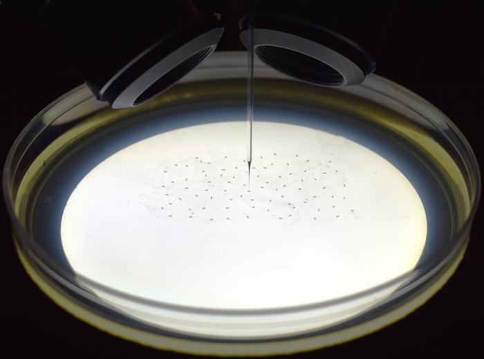 Image of automated robot