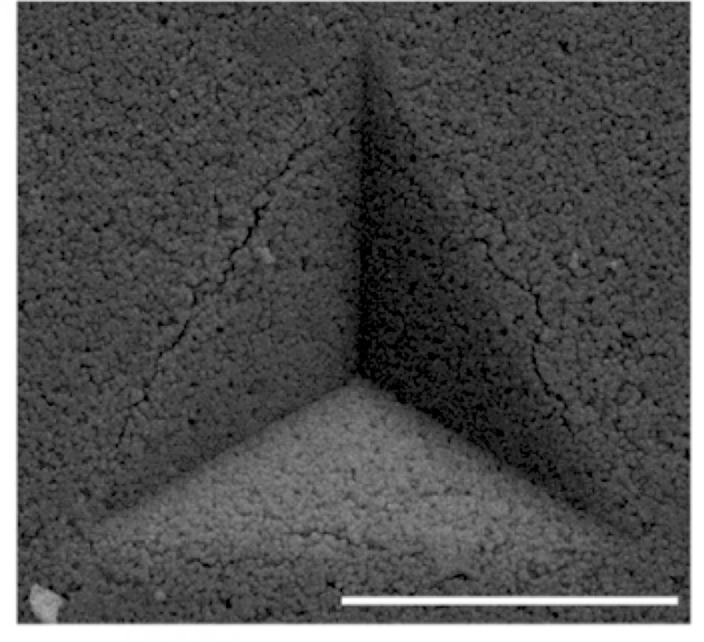 Calcium Silicate Spheres