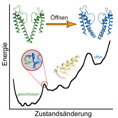 Schematic Opening and Closing Mechanisms