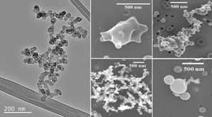 Scanning electron microscope images of uncoated and coated soot particle