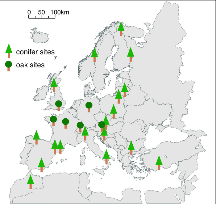 Location of Trees for sampling