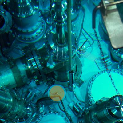 Production of Molybdenum-99 Will Be Possible in a Thimble Installed Right Next to the Core