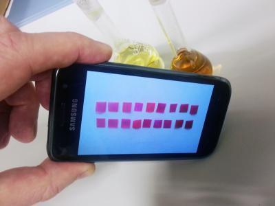 Detecting Mercury with a Mobile Phone