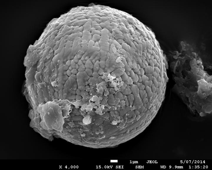Archean Micrometeorite