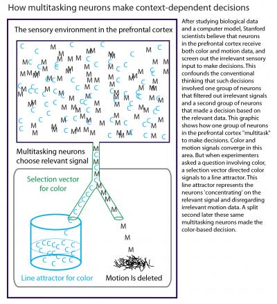 How Multitasking Neurons Make Context-Dependent Decisions