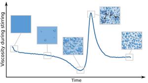 Typical crystallization process during the preparation of fondant