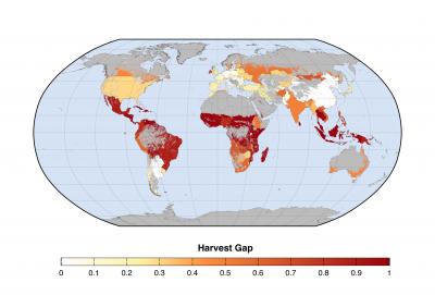 Global Harvest Gap, 2000-2011