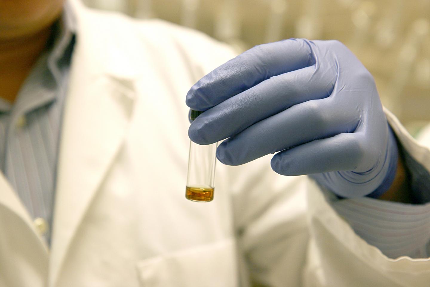 Scientists Receive CPRIT Grants for Lung, Kidney Cancer Research