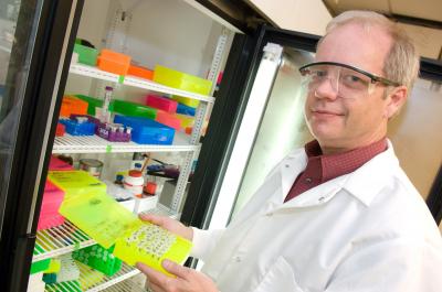 Ken Sandhage, Georgia Institute of Technology Research News