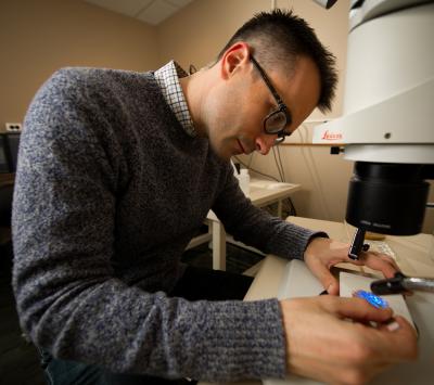 Alexander Shingleton, Michigan State University