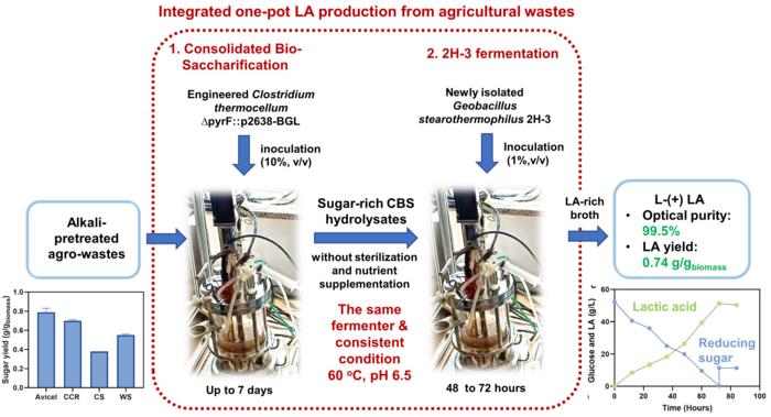 Schematic representation of the integrated LA production process from agro-wastes