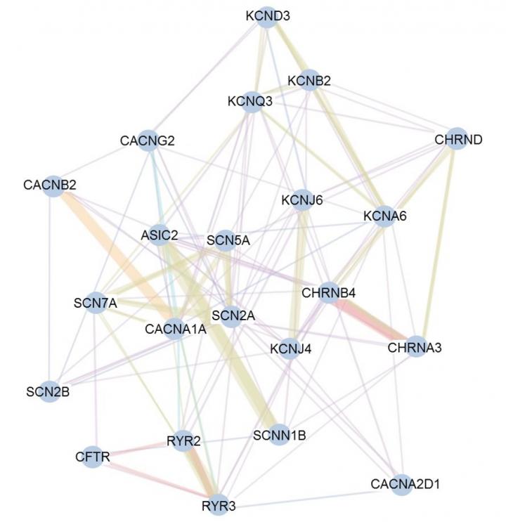 Uncovering Insight into Lung Cancer Etiology