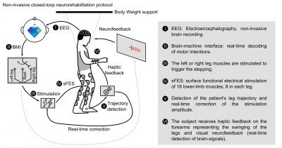 Non-Invasive Closed-Loop Neurorehabilitation Protocol