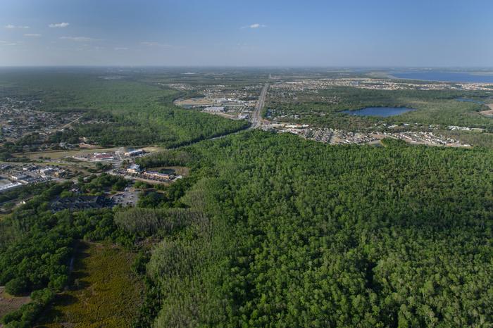 Aerial View Florida Wildlife Corridor