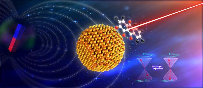 Researchers Reveal Quantum Advantage of Quantum Dots for Spin Chemistry of Radical Pairs