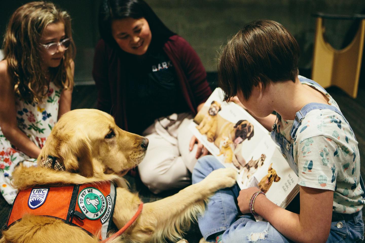 Abby the Retriever Reading with Kids