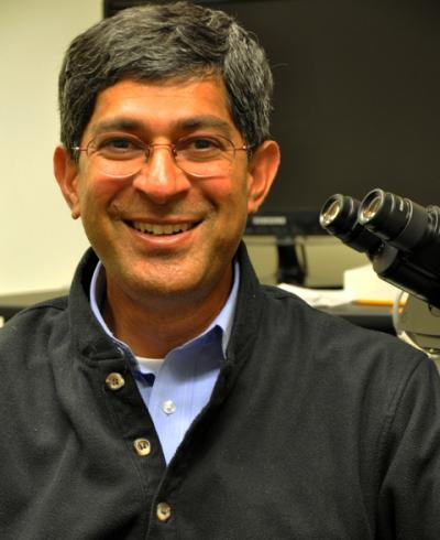 John Kuriyan, DOE/Lawrence Berkeley National Laboratory