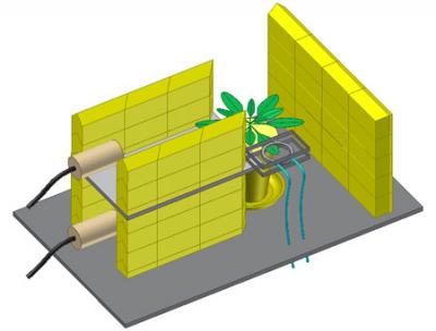 Measurement of Sugar Transport Processes