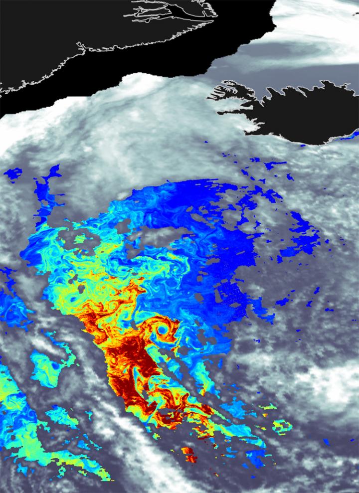 North Atlantic Bloom