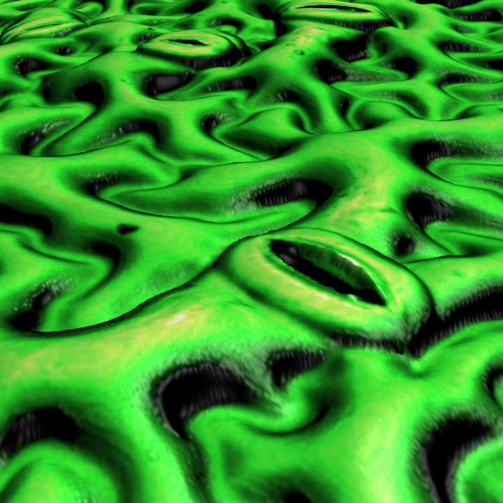 Engineered Plant Stomata