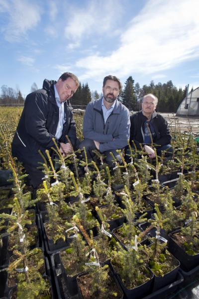 Scientists behind the World's Largest Genome Project