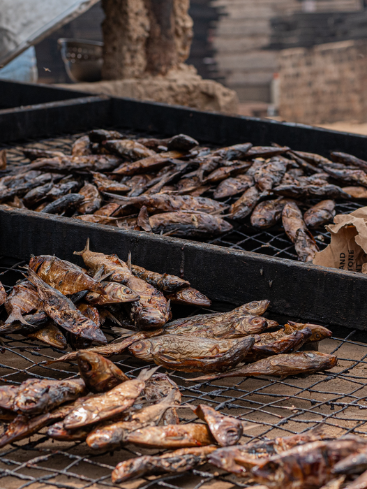 Smoked pelagic fish in Accra, Ghana