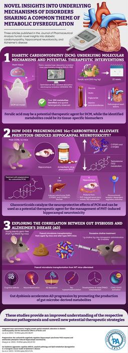 Insights on diabetic cardiomyopathy, CNS regulation, and Alzheimer's progression