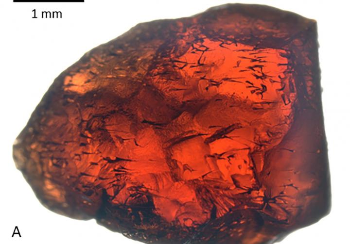 Intricate Tiny Tunnels inside Garnet Crystals Appear to Be the Result of Boring Microorganisms (1/2)