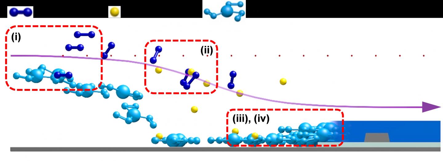 Producing pV3D3 Polymeric Films