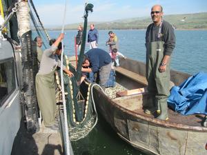 Fishing Team from Kibbutz Ein Gav
