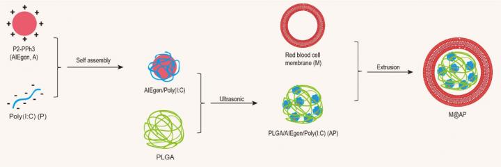 Fig 1: