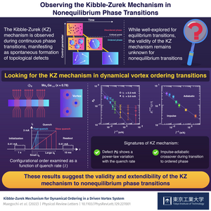 Observing the Kibble-Zurek Mechanism in Nonequilibrium Phase Transitions