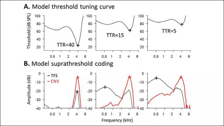 How Noise and Age Affect Brain's Sound Processing