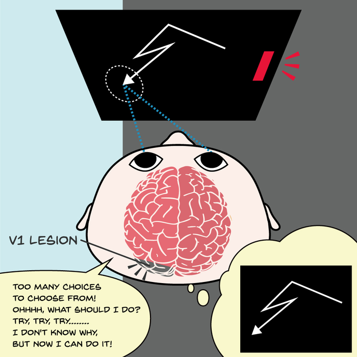 Visual instrumental learning in blindsight monkeys