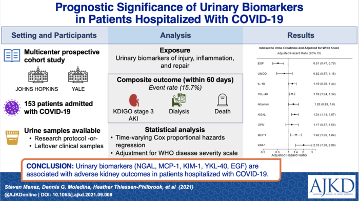 Urinary Biomarkers Predict Severe Kidney Injury in Patients Hospitalized with Covid-19