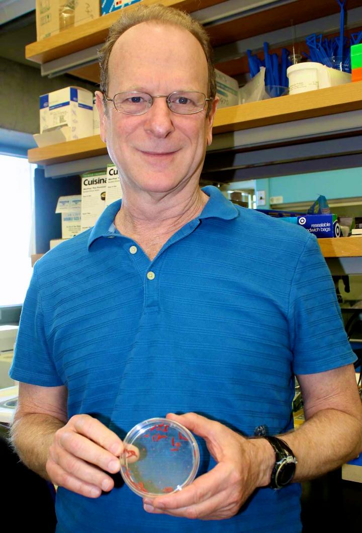 Bruce Tabashnik, University of Arizona