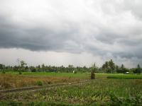 Clouds over Indonesian field