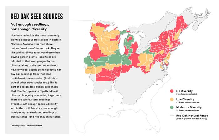 Map: Red Oak Seed Sources